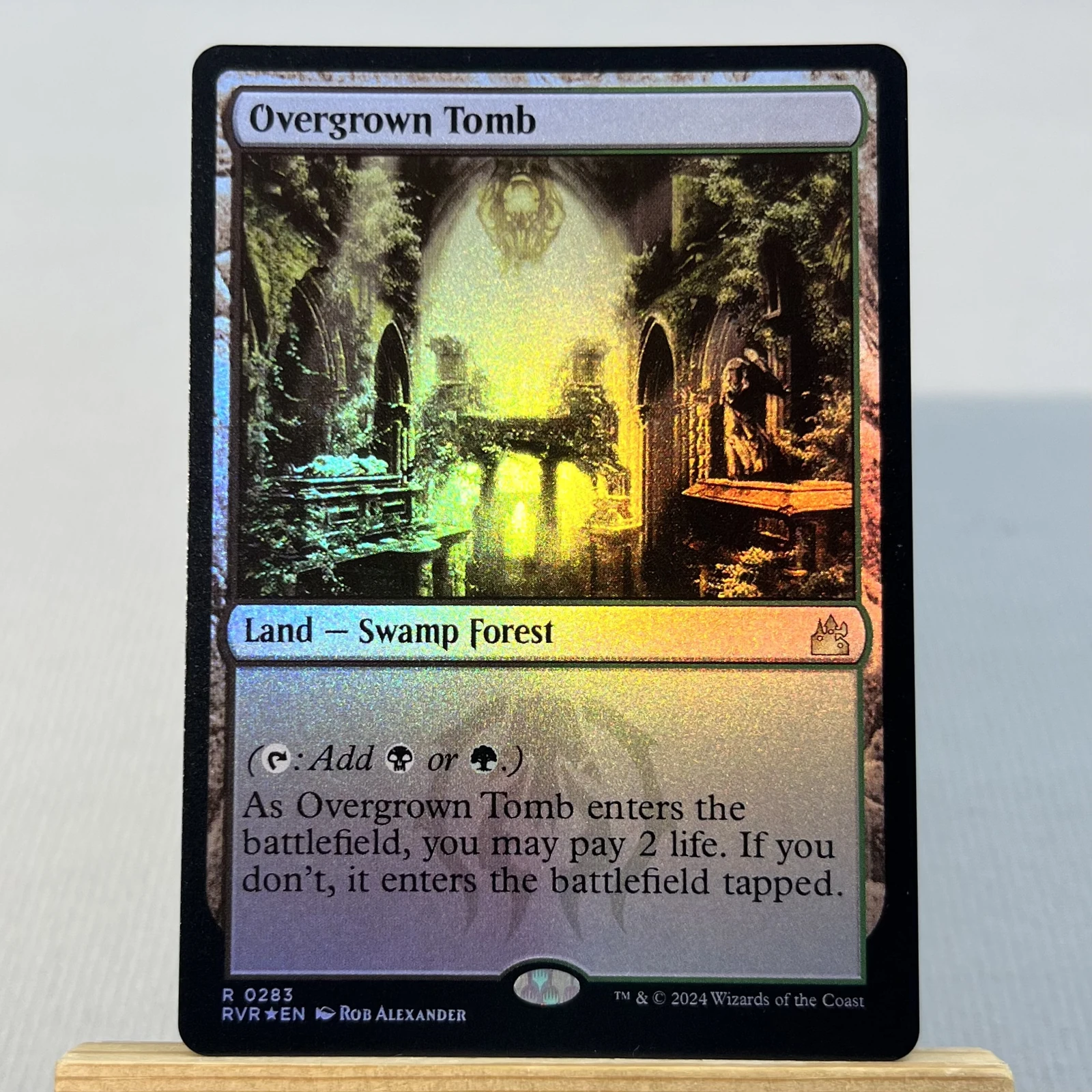 Overgrown Tomb #283