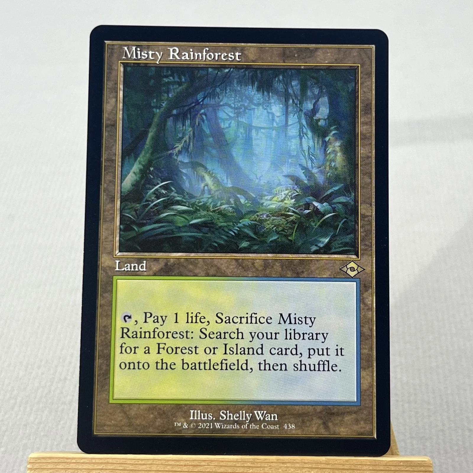 Misty Rainforest #438