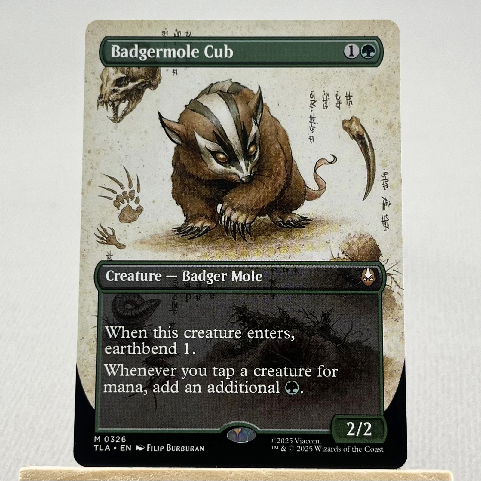 Badgermole Cub #326