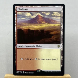 plateau #308