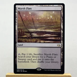 marsh flats #239