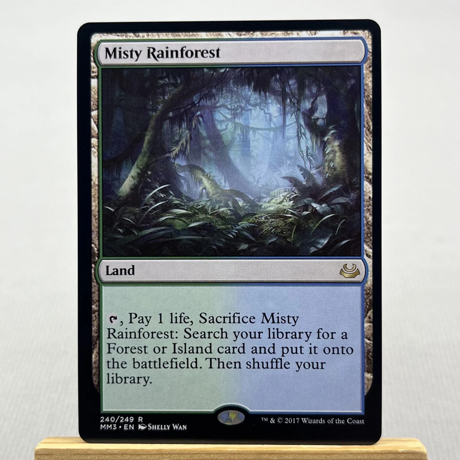 misty rainforest #240