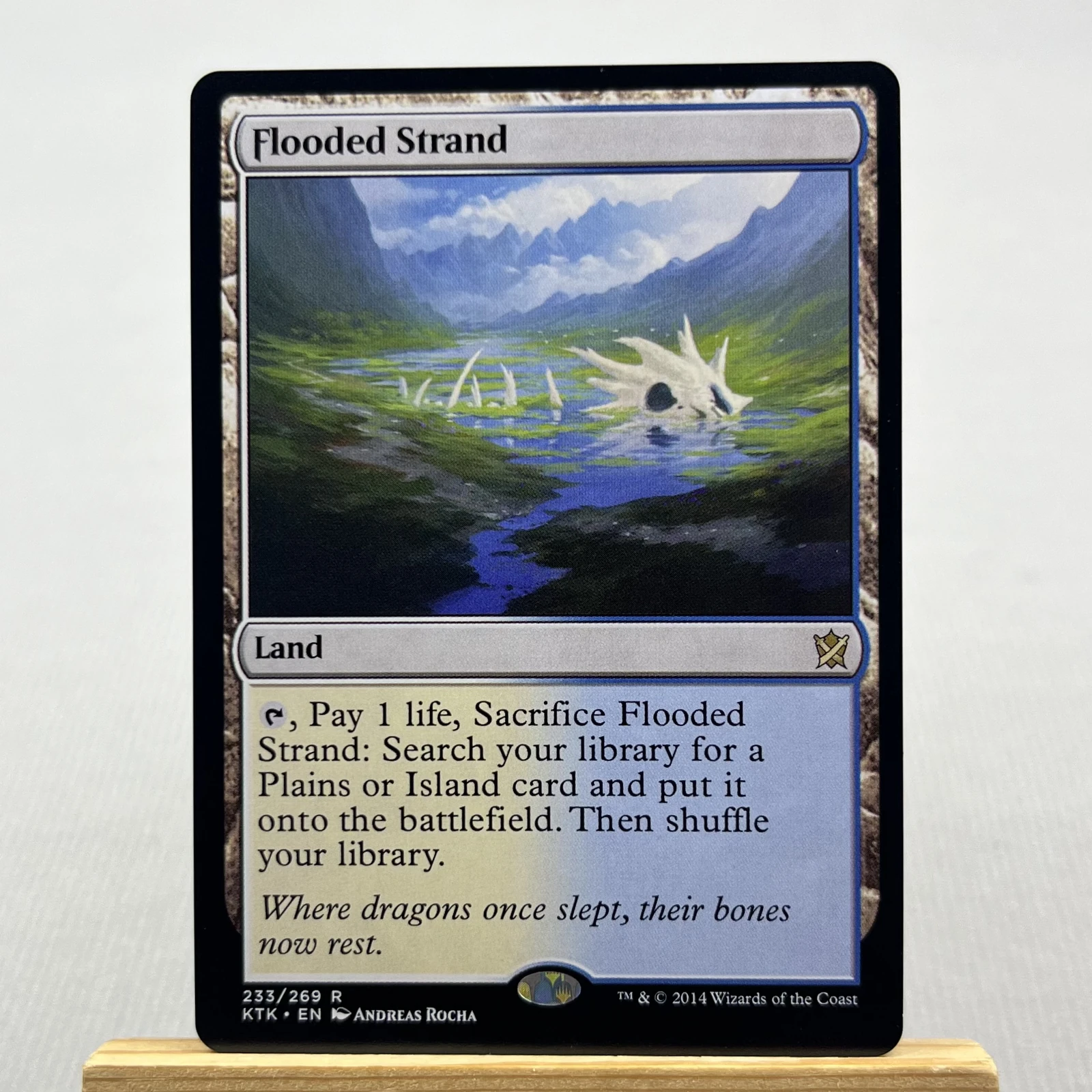 flooded strand #233