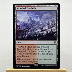 wooded foothills #249