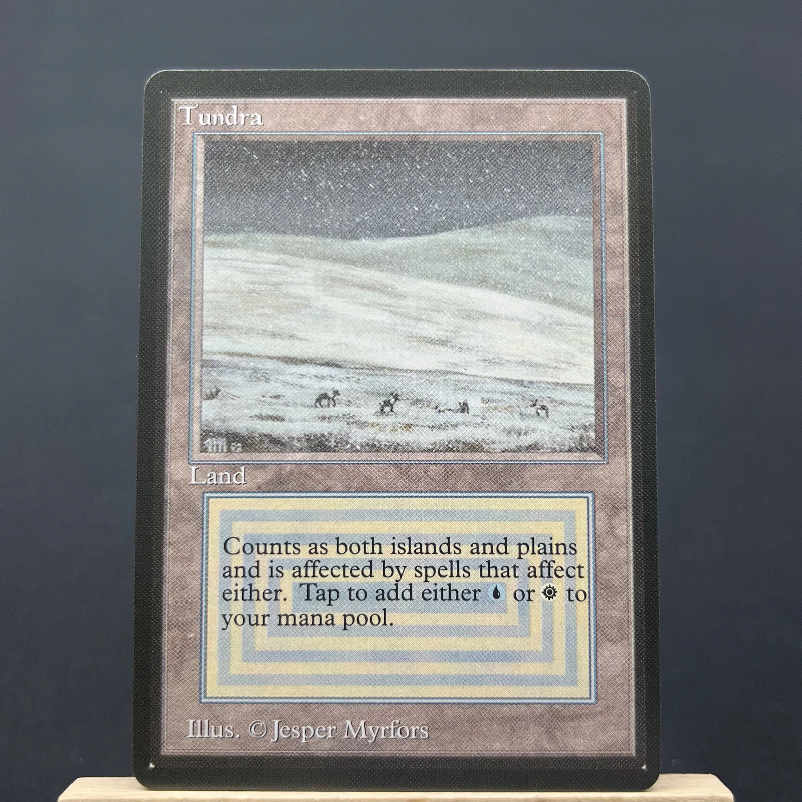 tundra #285