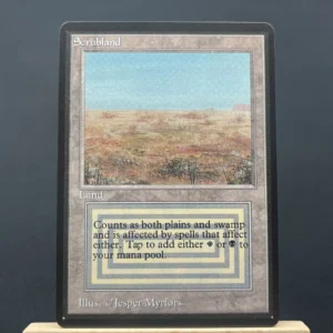 scrubland #282