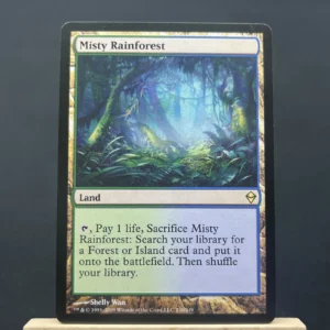misty rainforest #220
