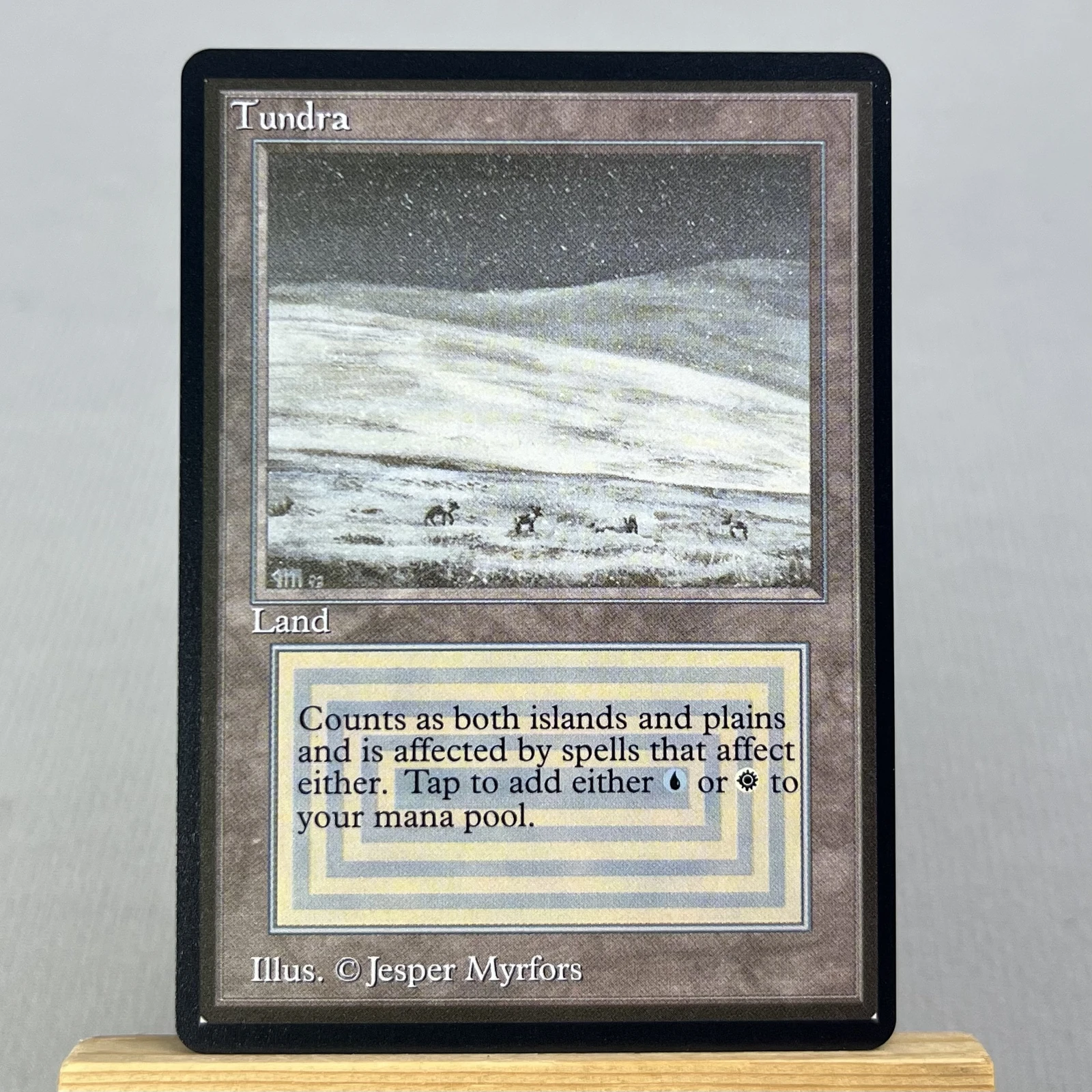 tundra #285
