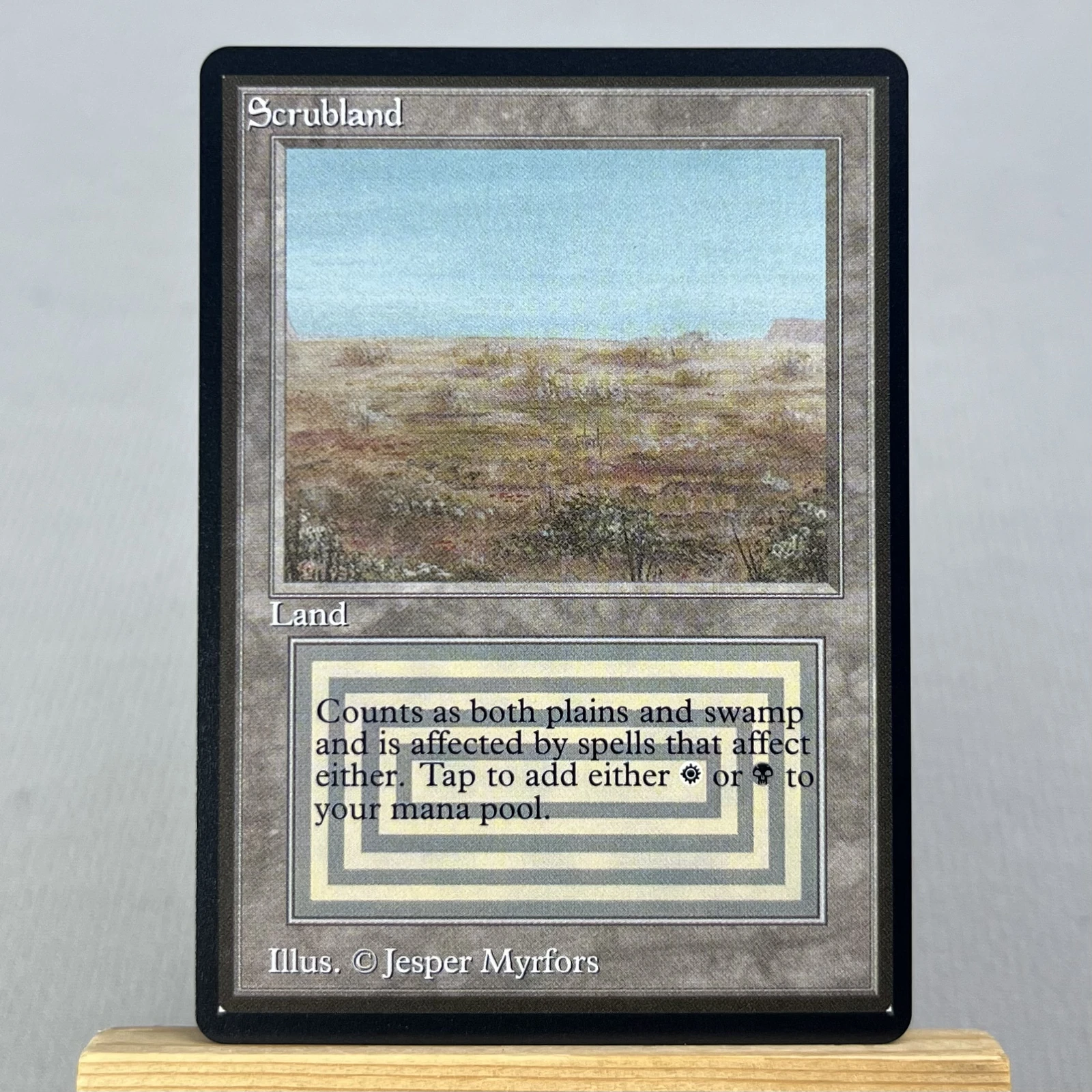 scrubland #282