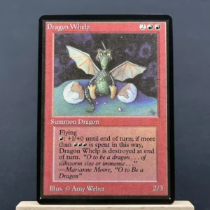 Dragon Whelp #142