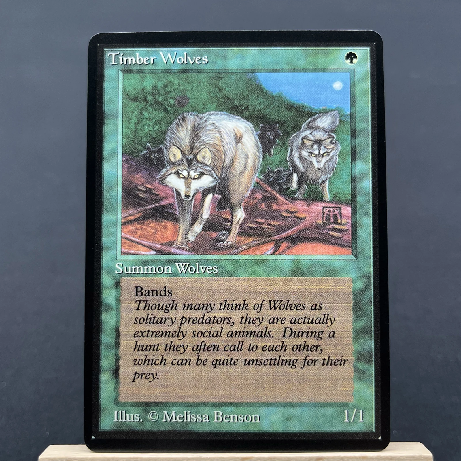 Timber Wolves #220