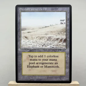 Elephant Graveyard  #74