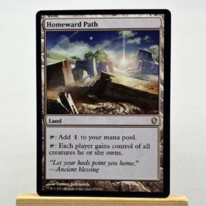 Homeward Path #295