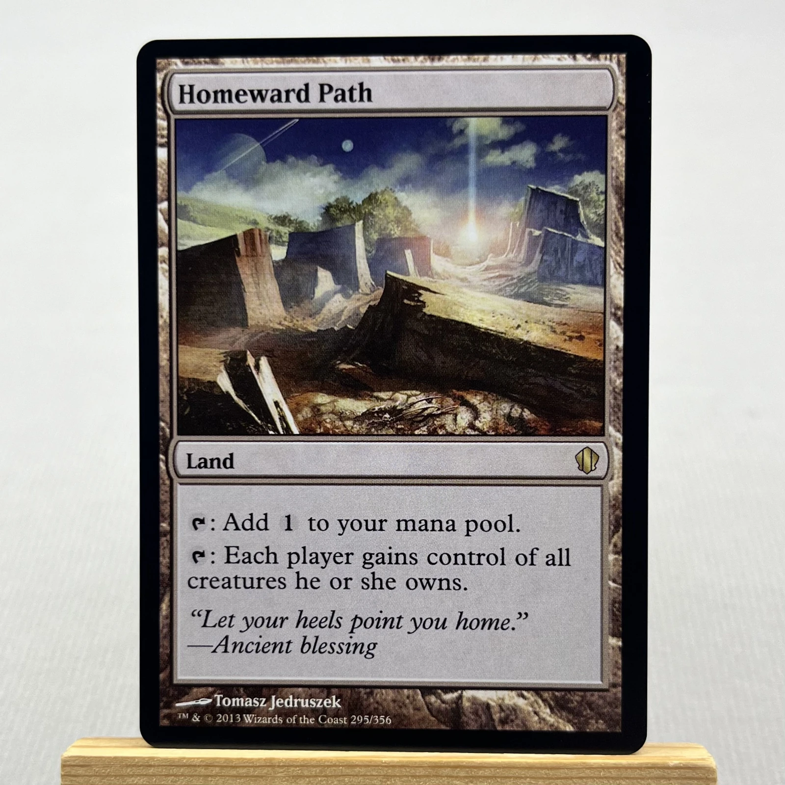 Homeward Path #295