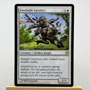 Kinsbaile Cavalier #17