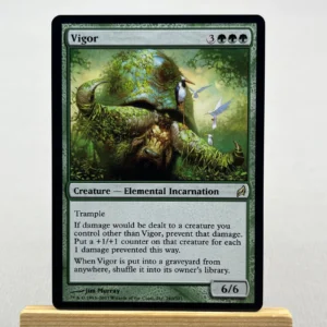 vigor #240