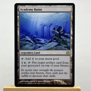 Academy Ruins #219