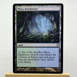 misty rainforest #220