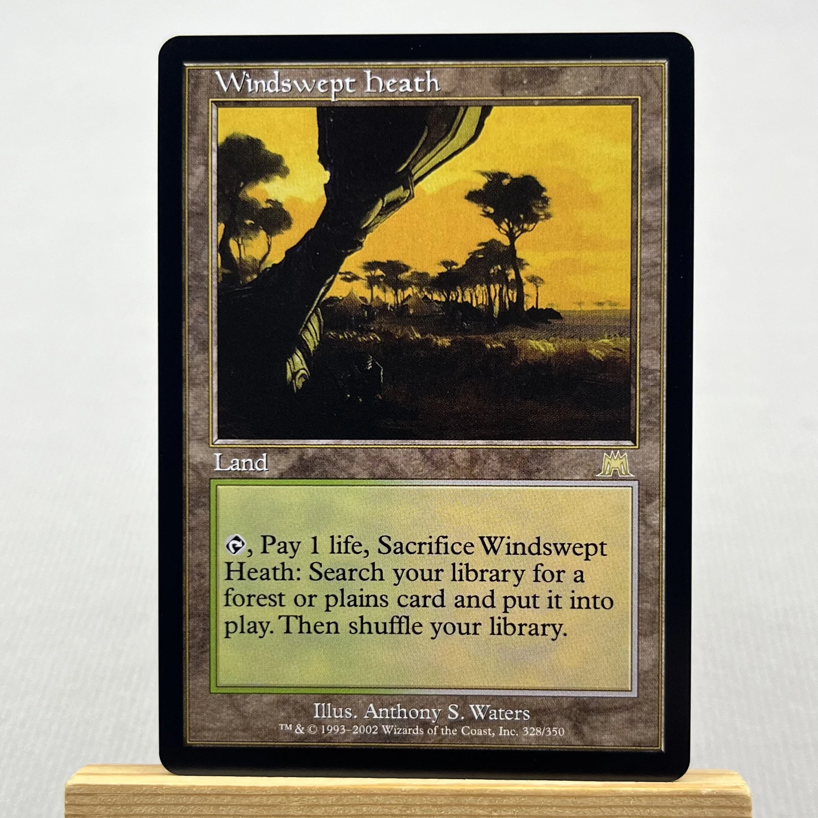 windswept heath #328